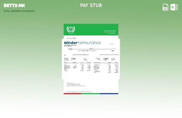 модерен стил Шаблон за платен список на компанија за реосигурување